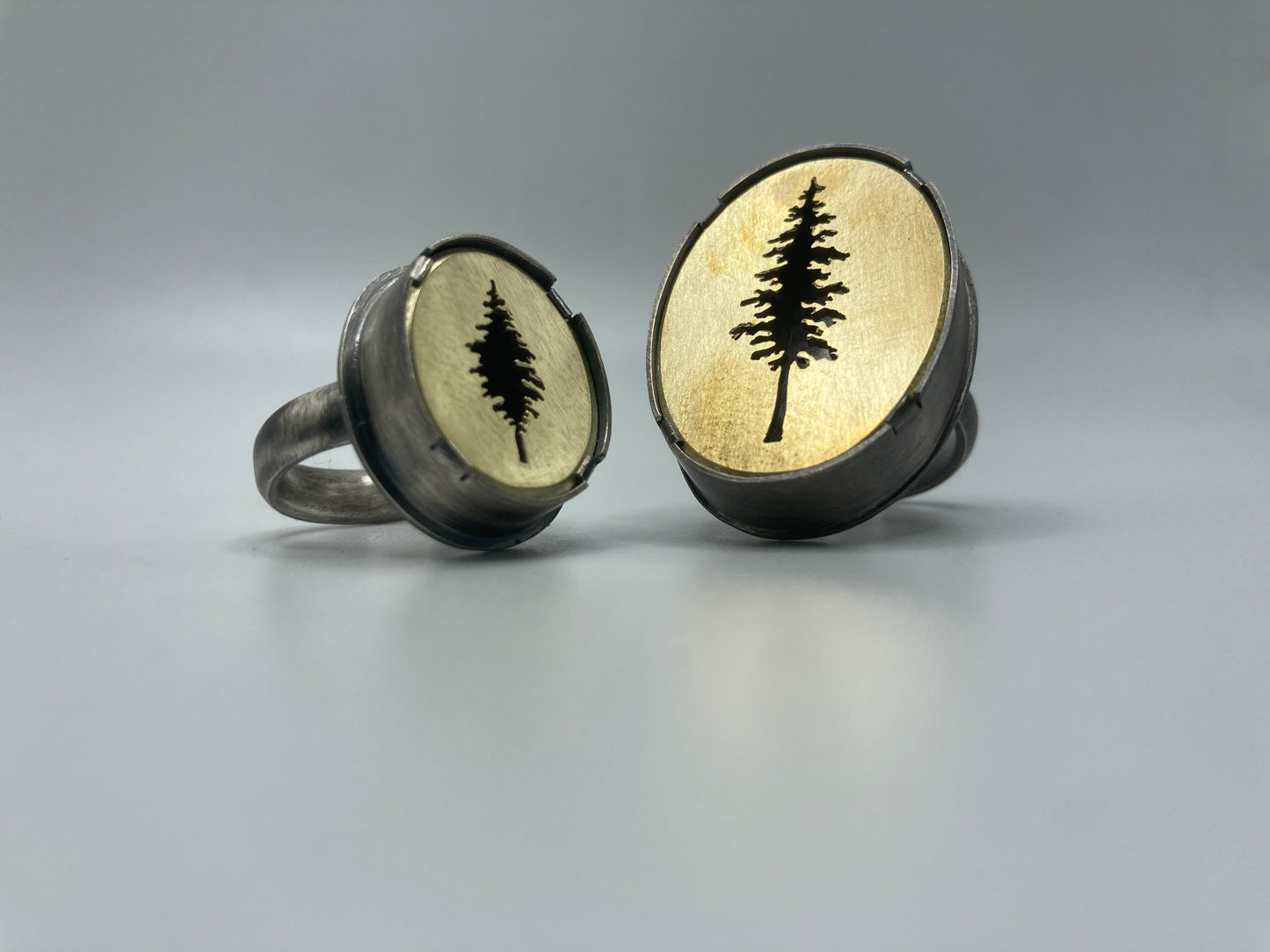 Conifer Ring