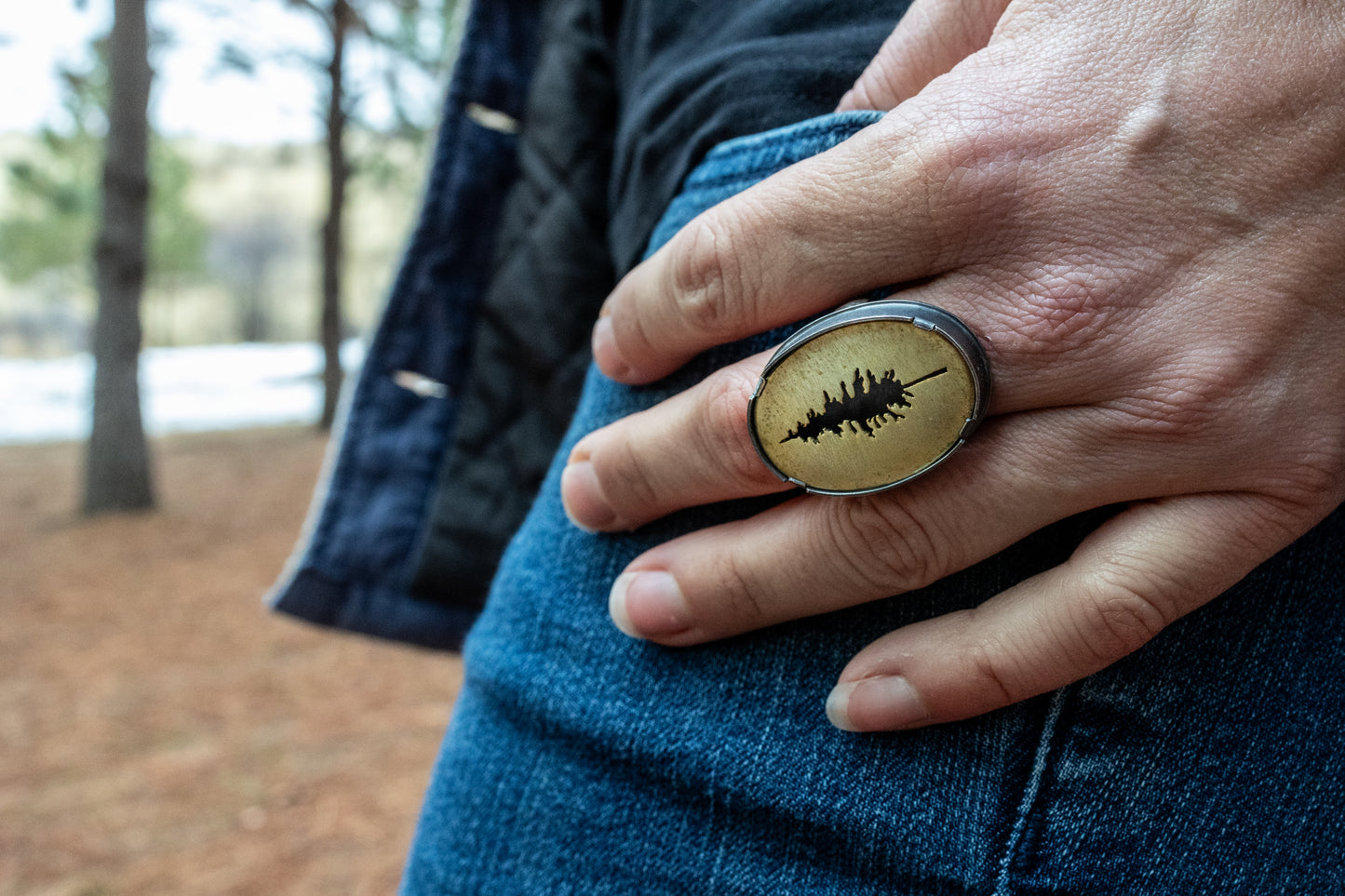 Conifer Ring